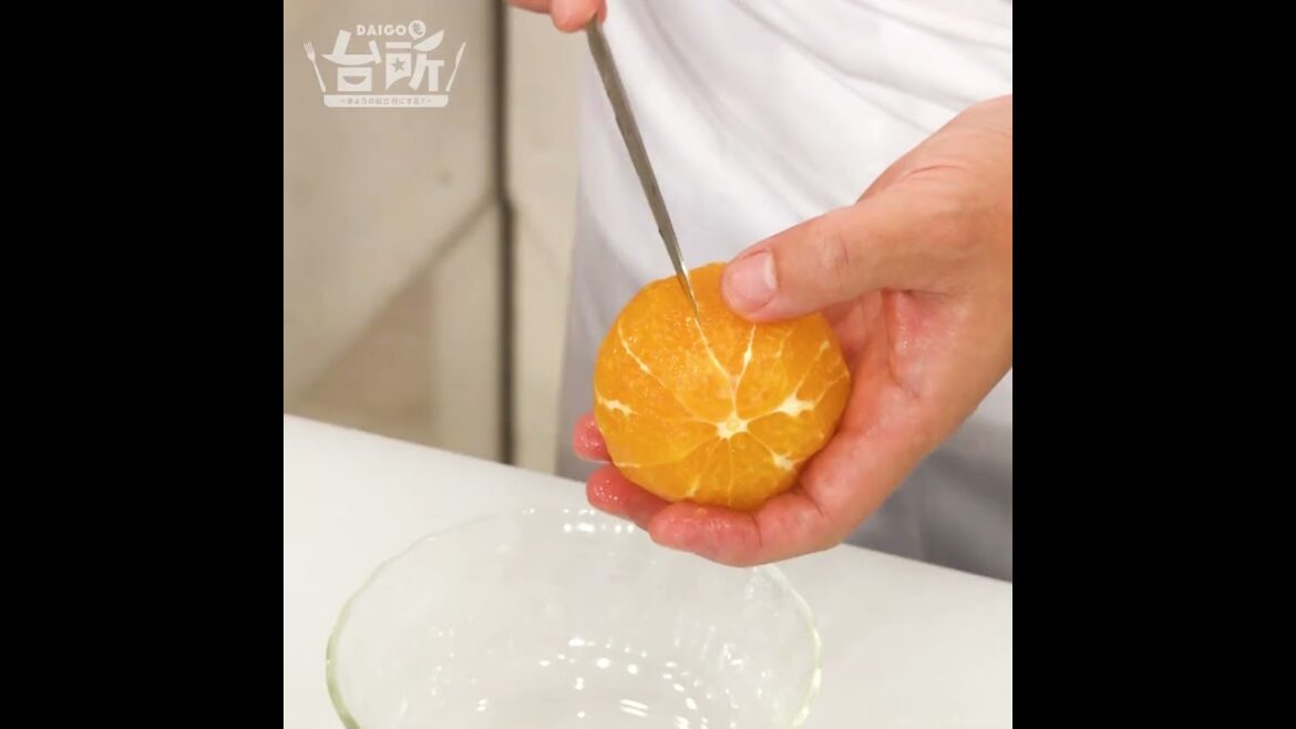 【DAIGOも台所】パンナコッタ｜フルーツたっぷり！クリスマスには欠かせないスイーツ♪