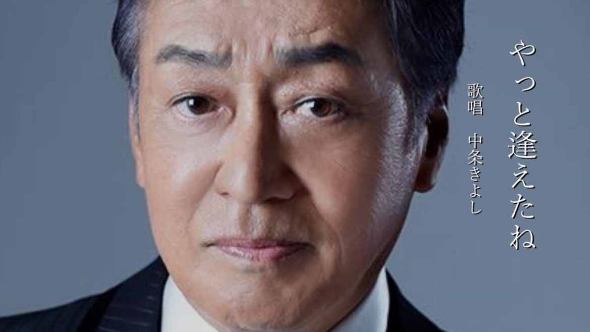 やっと逢えたね　中条きよしさんの歌唱です