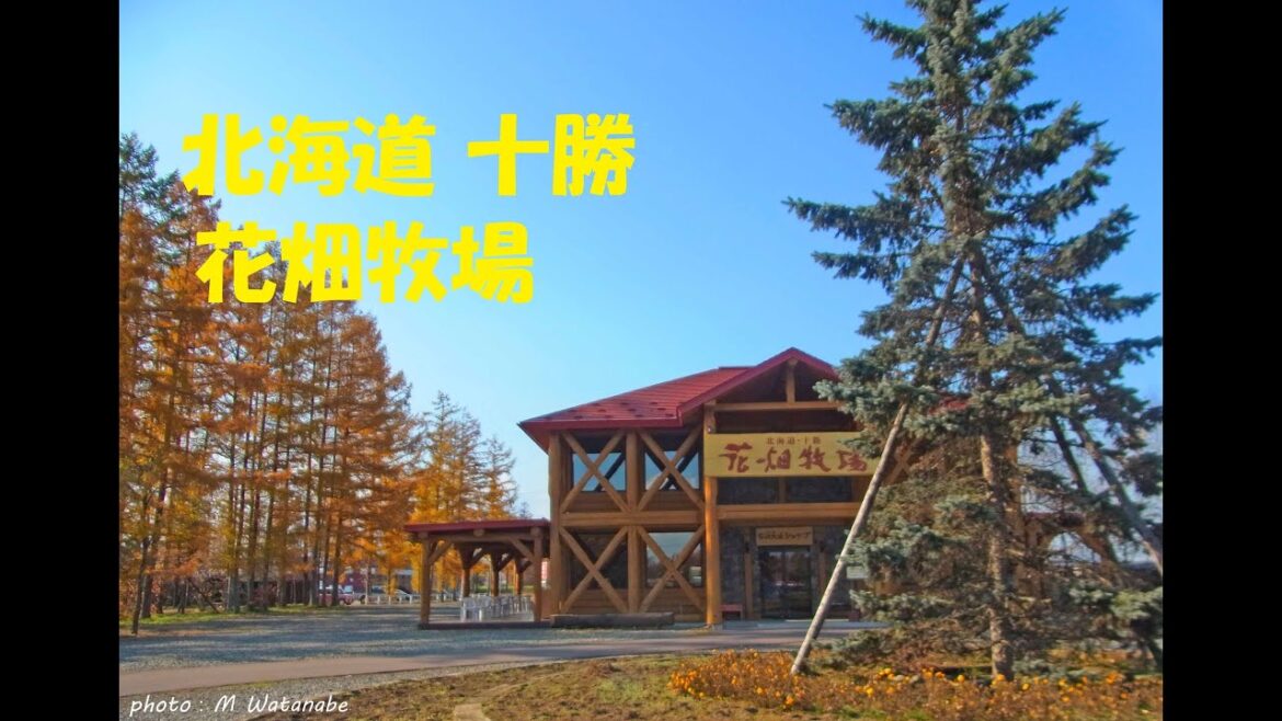 ホエー豚丼食べました｡｡｡♪ 花畑牧場 『北海道 十勝』