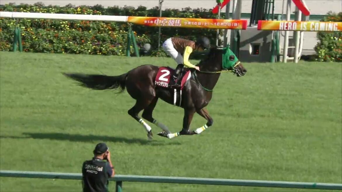 (修正)メイケイエール　セントウルステークス　2022 9 11 中京競馬場