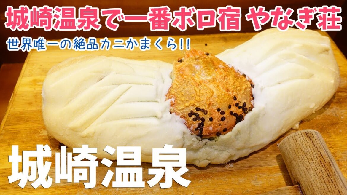 [ 兵庫県 城崎温泉1泊2日の旅 ]　#1 名物かにかまくらの宿『 やなぎ荘 』＆外湯めぐり　～ 城崎温泉で一番ボロい宿という噂は本当なのか？ ～