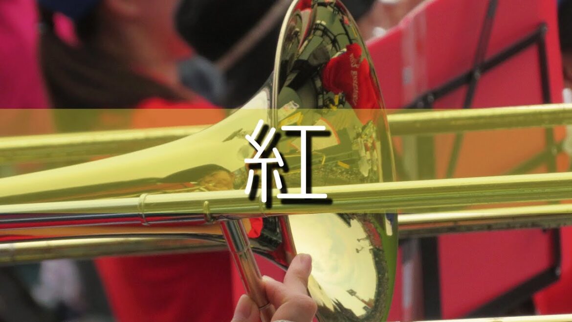 國學院栃木 紅 応援歌 2022夏 第104回全国高校野球