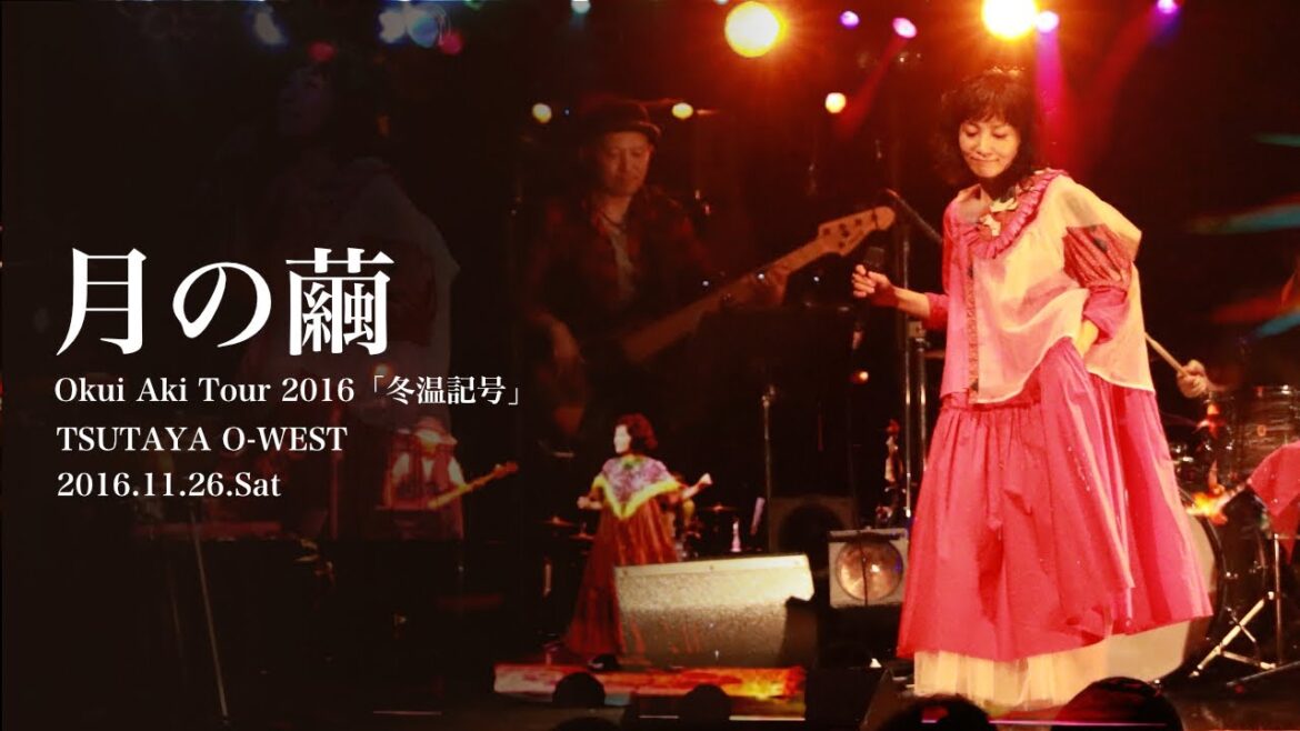 奥井亜紀 - 月の繭