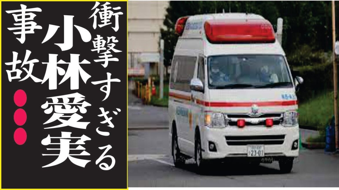 小林愛実の現在！今現在の様子がヤバすぎる・・・