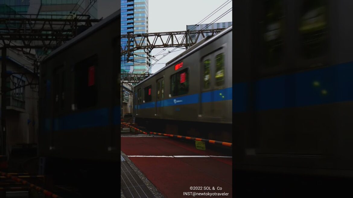 小田急線 電車と踏切音Odakyu Line local train