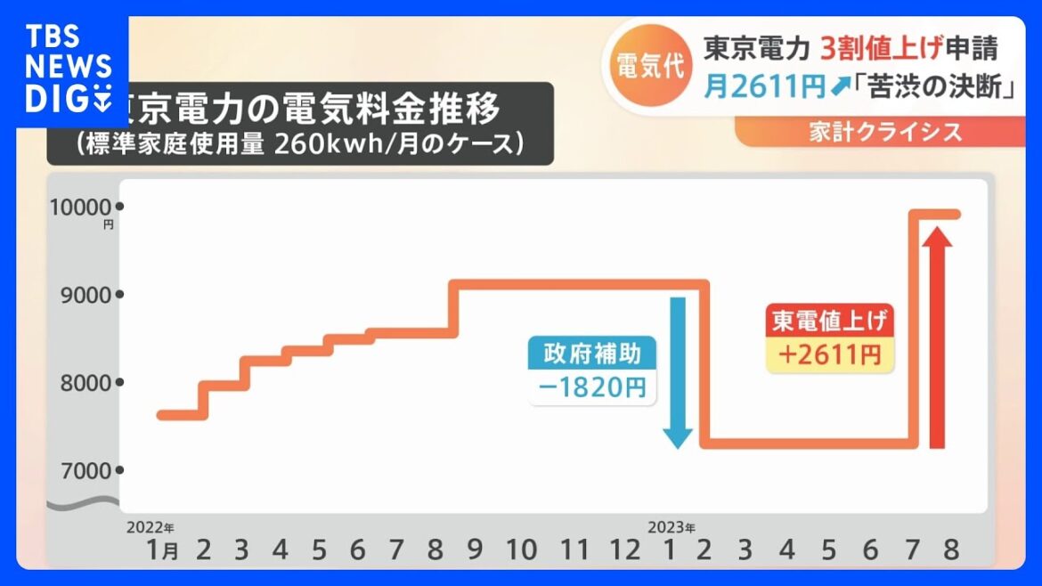 東京電力 半数以上の家庭が契約している電気料金プランについて29.3%の値上げを申請|TBS NEWS DIG 東京電力 半数以上の家庭が契約している電気料金プランについて29.3%の値上げを申請|TBS NEWS DIG