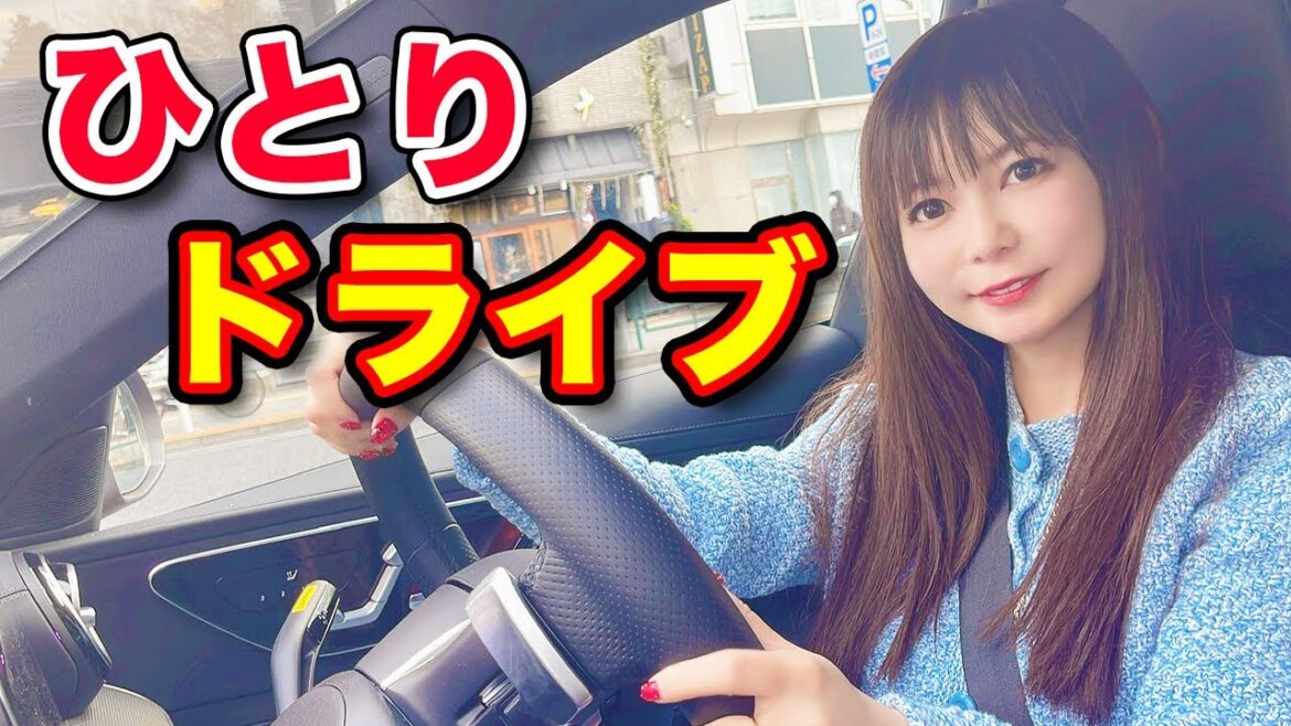 車を走らせひとりで初詣！のはずがトラブル発生...。