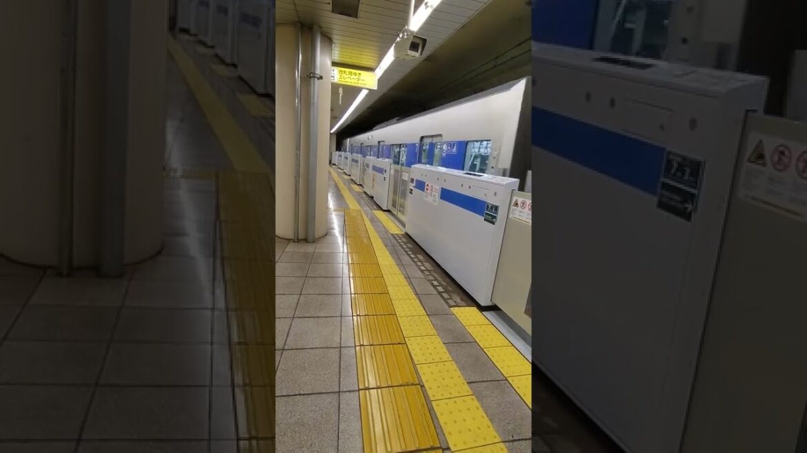 都営地下鉄三田線/内幸町駅　都営6500形　西高島平行き到着　Mita Line / Uchisaiwaicho Station Toei 6500 series #Shorts