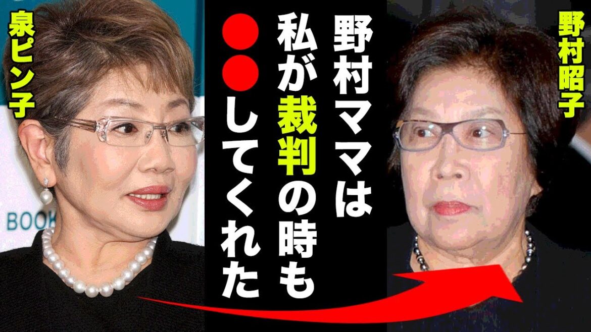 野村昭子の１人寂しい切ない最期に涙腺崩壊...泉ピン子「野村ママは私が裁判の時も●●してくれた...」