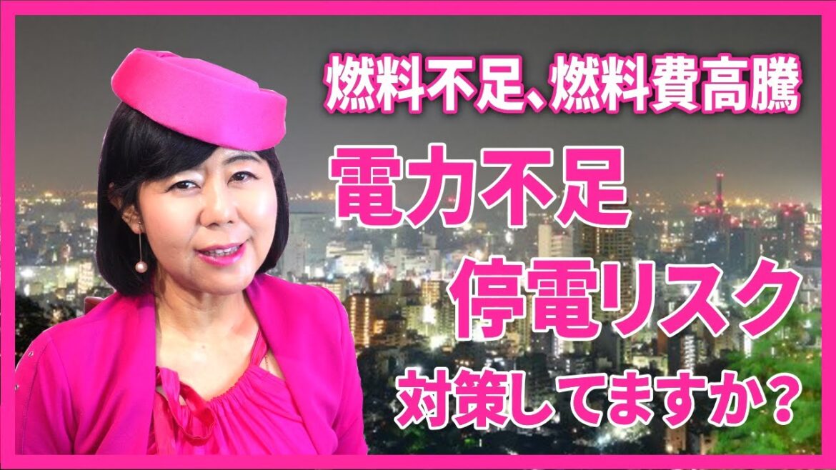 電力不足・停電リスク対策【ピンク社長チャンネル】