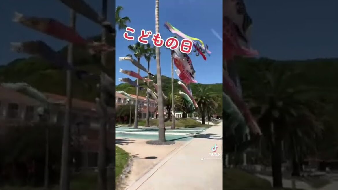 鯉のぼり🎏#こどもの日#GW#carpstreamer#subscribe #shorts