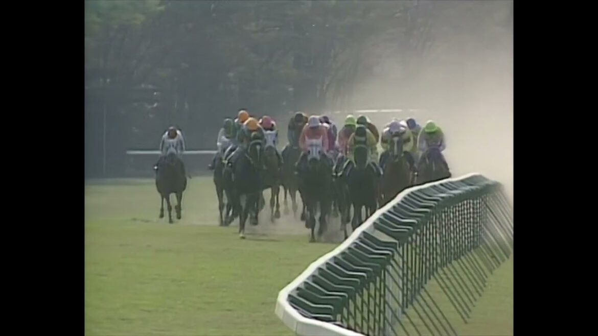 ヤエノムテキ 1988年 第48回皐月賞(GI) (優勝馬：ヤエノムテキ)