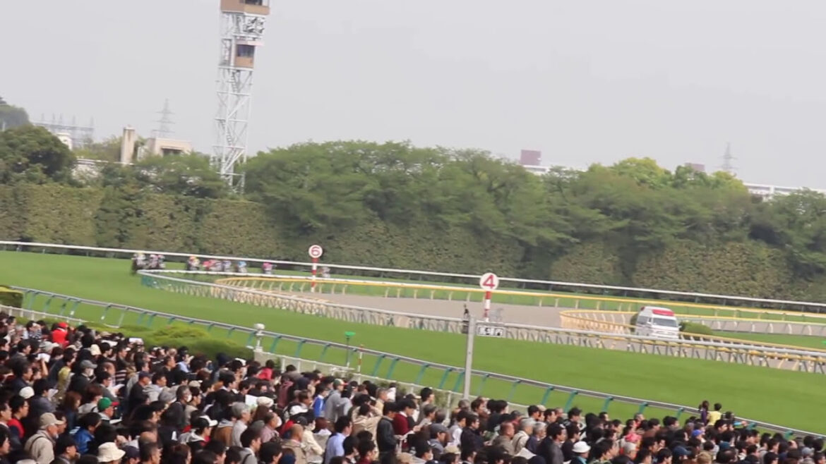 現地映像  藤田菜七子騎手 逃げをうって場内を沸かせる 2016.4.24 東京8レース