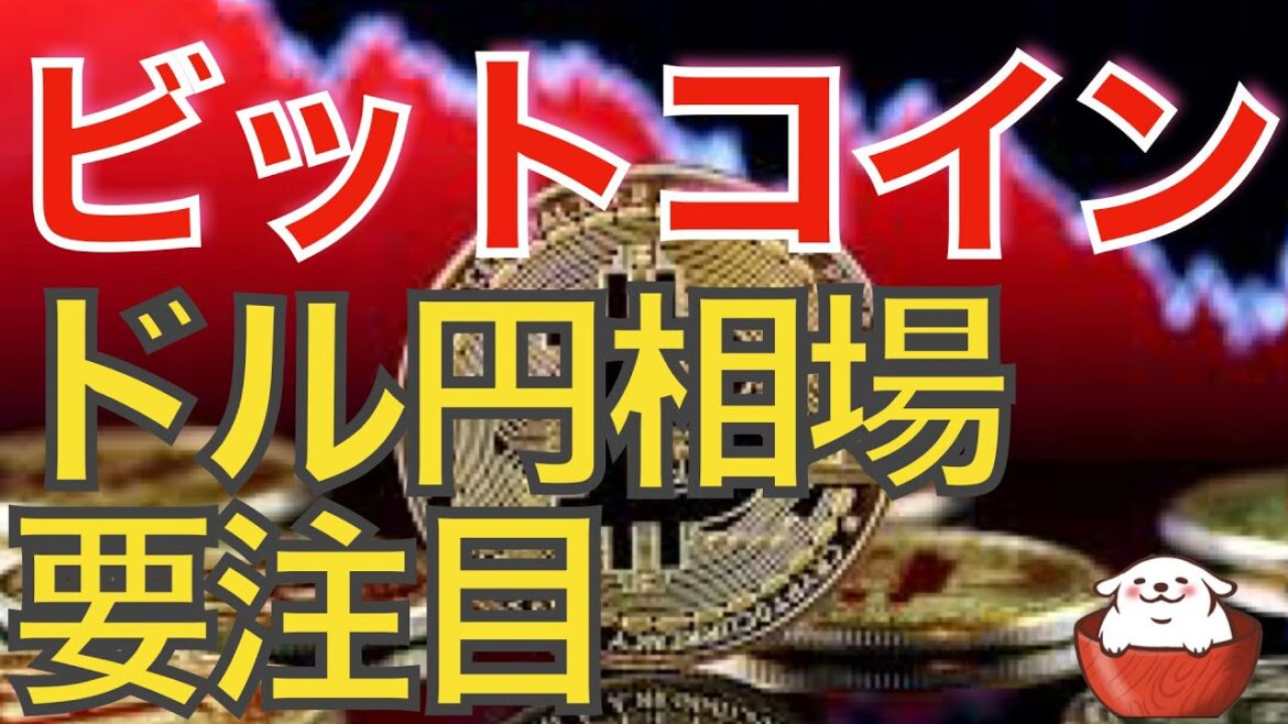 【仮想通貨 ビットコイン】ドル円にサプライズが起きればビットコインも大きく反応するかもしれません（朝活配信974日目 毎日相場をチェックするだけで勝率アップ）【暗号資産 Crypto】