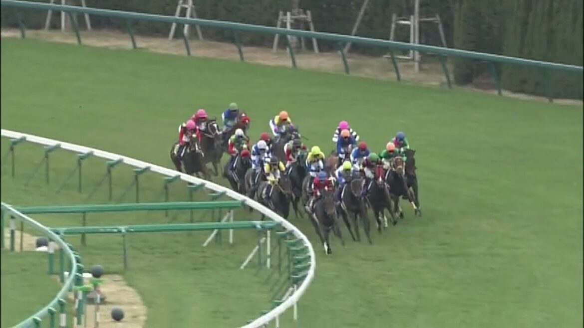 2010年桜花賞　アパパネ