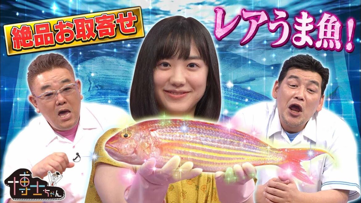 【芦田愛菜 激レア魚にビビりまくり!?】お取り寄せできる激レア魚の福袋とは!? 【芦田愛菜 激レア魚にビビりまくり!?】お取り寄せできる激レア魚の福袋とは!?
