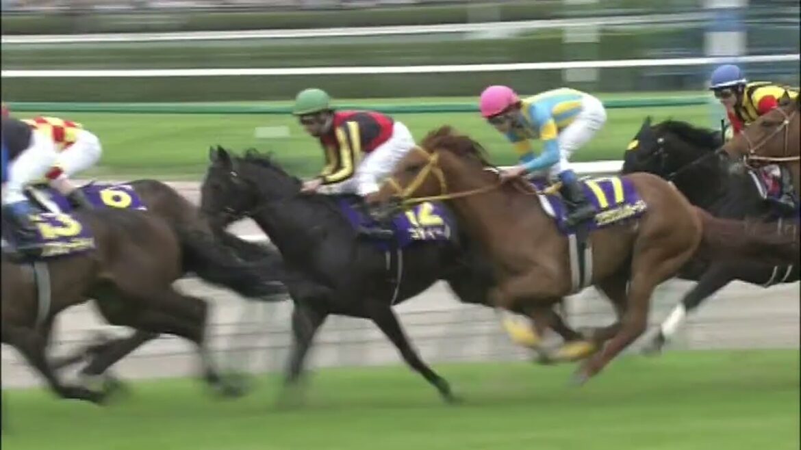 2013年皐月賞　ロゴタイプ