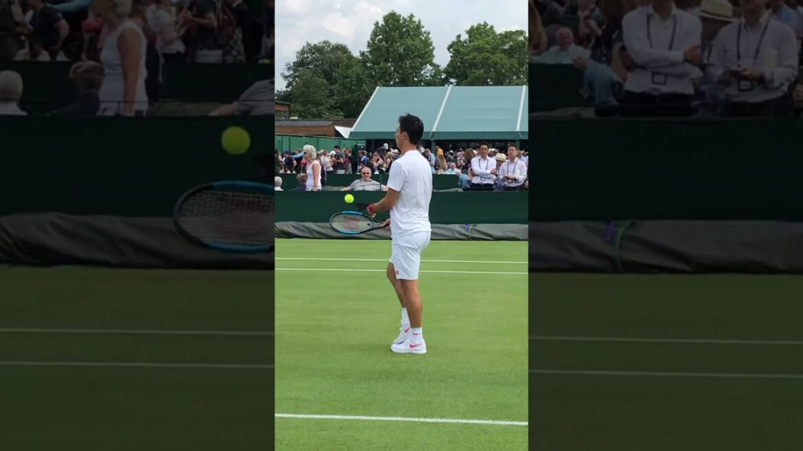 Kei Nishikori practice【Wimbledon 2019】錦織圭ウィンブルドンでの練習 #Shorts