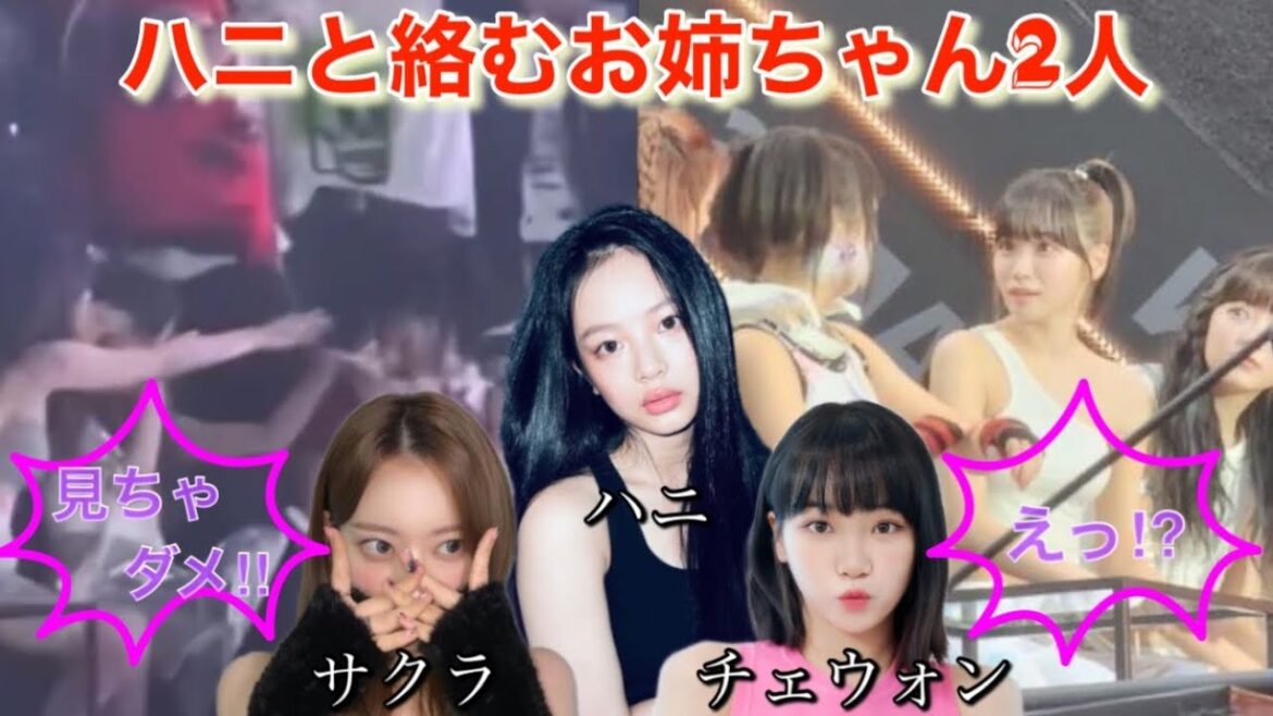 【LE SSERAFIM／NewJeans】ルセラフィムの宮脇咲良とチェウォンがニュージーンズのハニと絡み話題に【Golden Disc Awards】