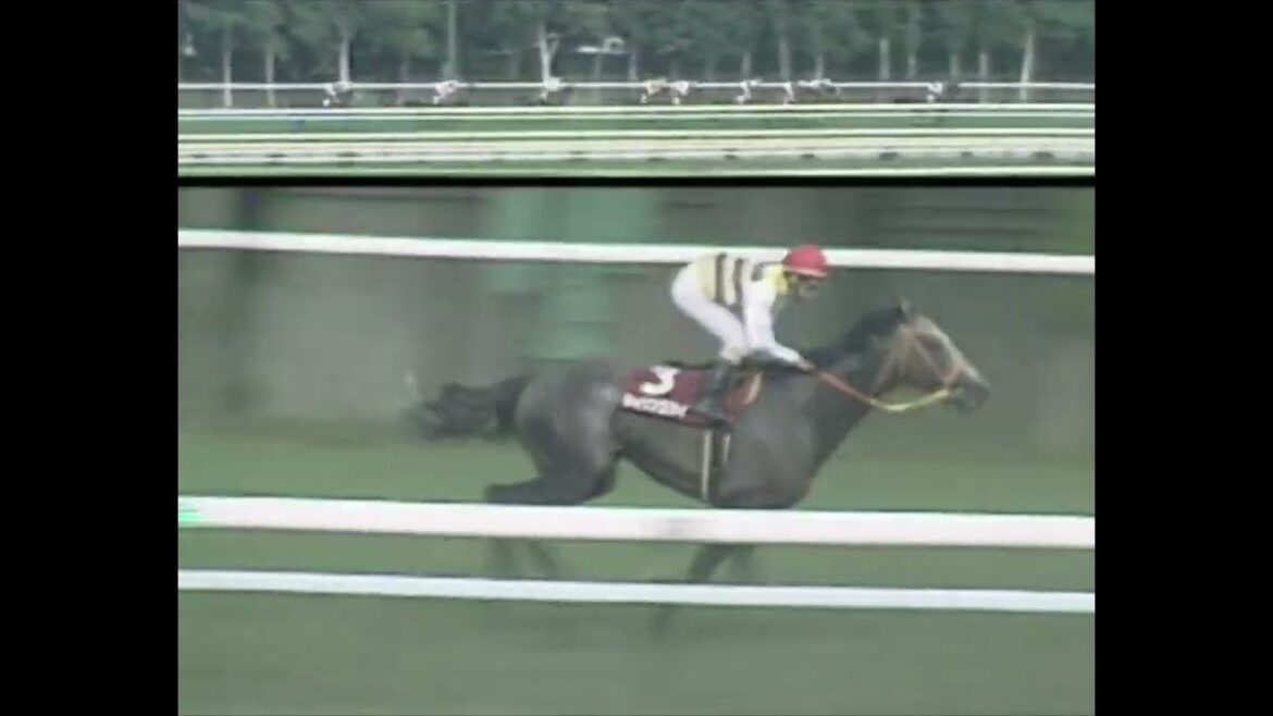 セイウンスカイ 1999年 第35回札幌記念(GII) (優勝馬：セイウンスカイ)