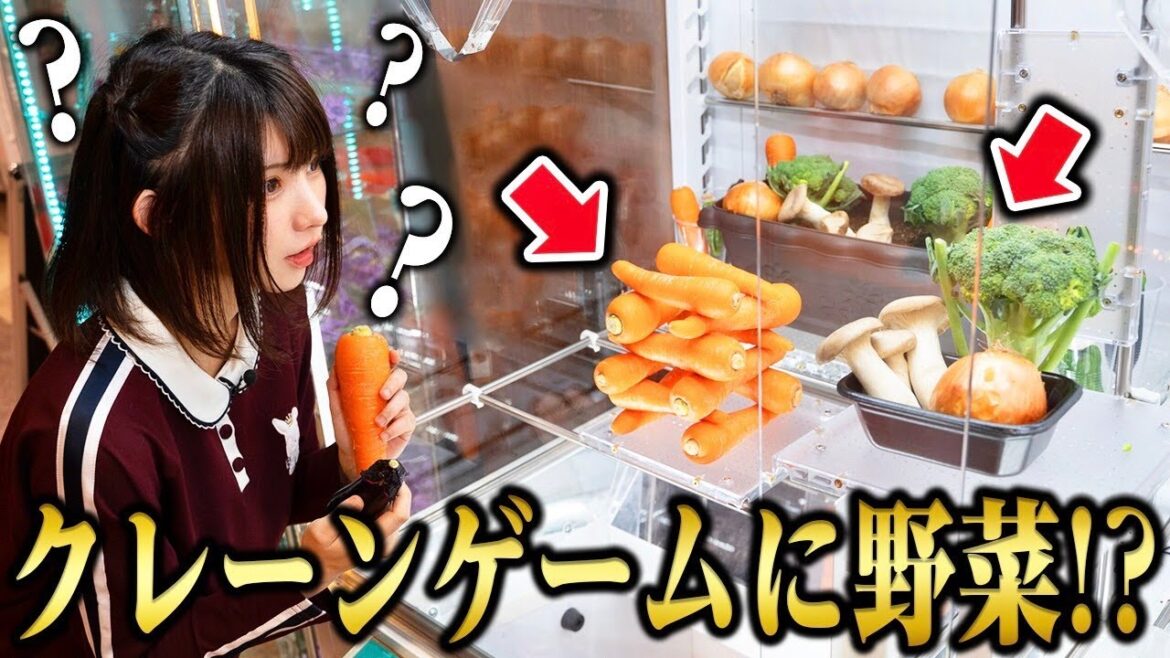 【えなこ】クレーンゲームの中に野菜や私物入っているドッキリ