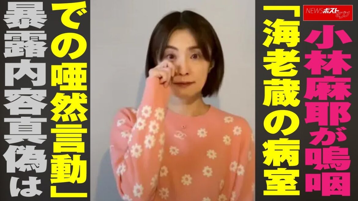 小林麻耶 が 嗚咽 「 海老蔵 の病室での唖然言動」　暴露 内容真偽は NEWSポストセブン