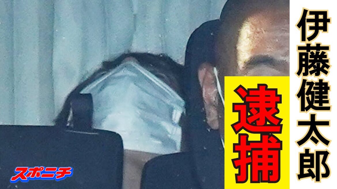 伊藤健太郎容疑者を逮捕 ひき逃げの疑い 女性が足の骨を折る重傷 伊藤健太郎容疑者を逮捕 ひき逃げの疑い 女性が足の骨を折る重傷