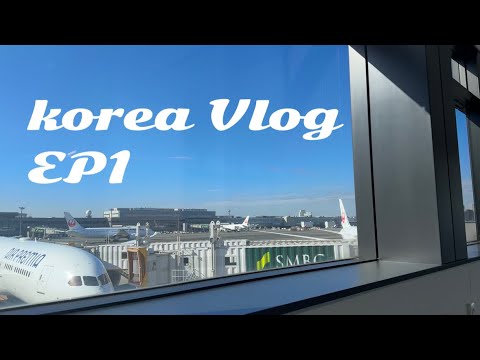【韓国vlog】韓国旅行 ep1  3年ぶりの韓国入国~ほくろ除去 2022年12月 air premia 에어프레미아 【韓国vlog】韓国旅行 ep1  3年ぶりの韓国入国~ほくろ除去 2022年12月 air premia 에어프레미아