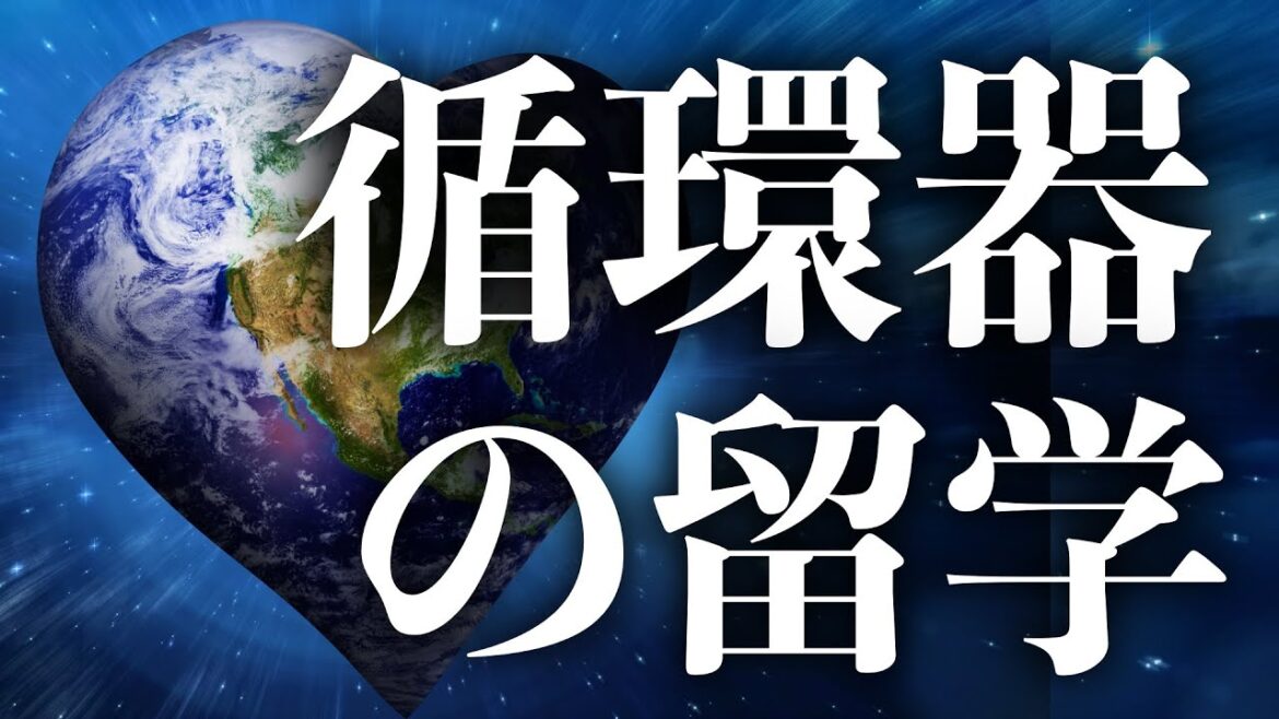 日本の教授と米国の循環器内科医に臨床留学についてインタビューしてみた