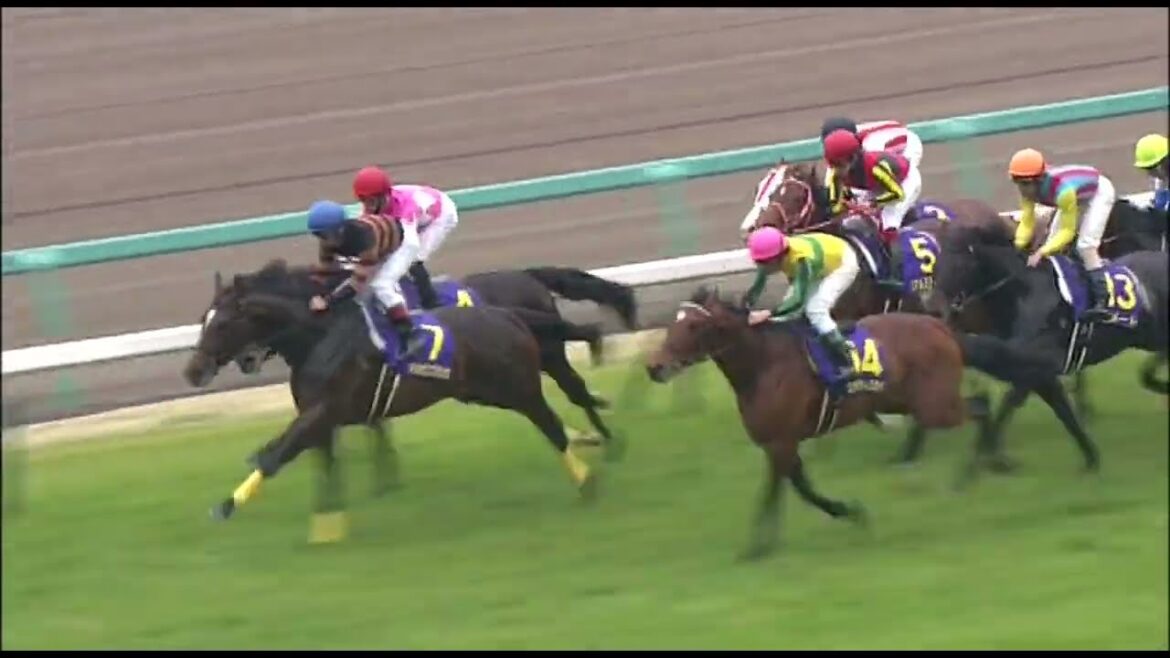 2015年皐月賞　ドゥラメンテ