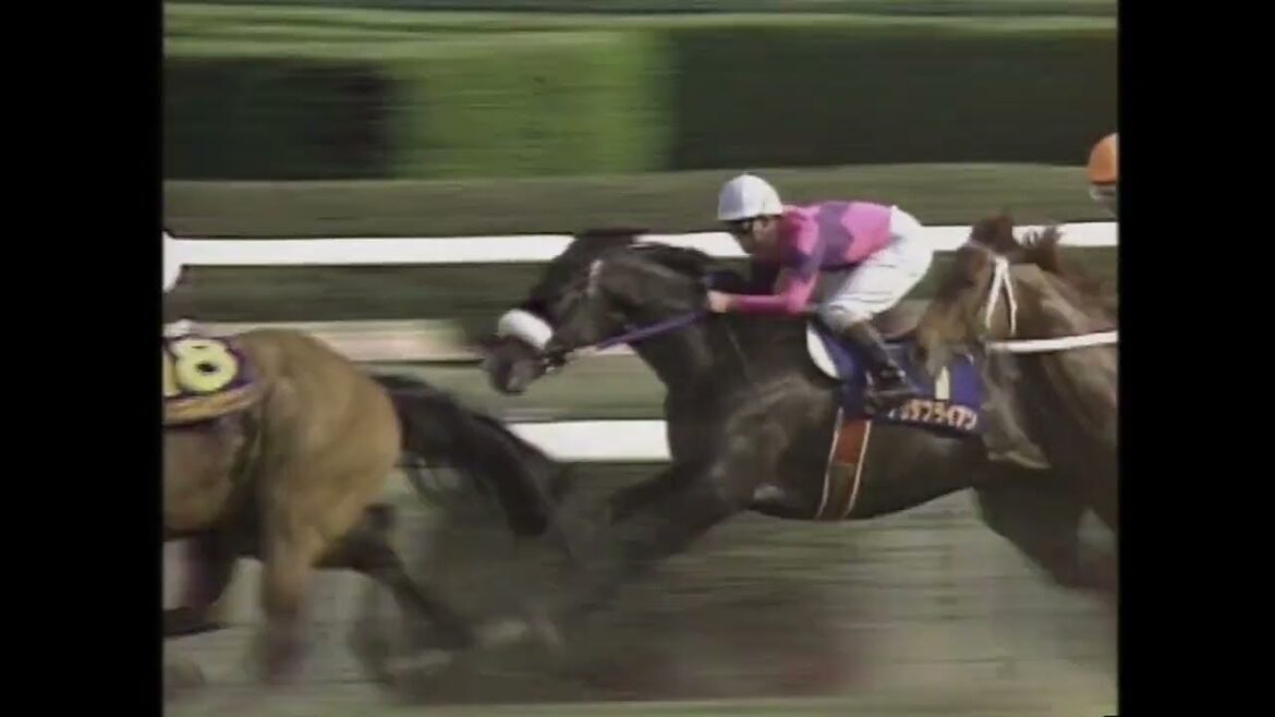 1994年皐月賞　ナリタブライアン