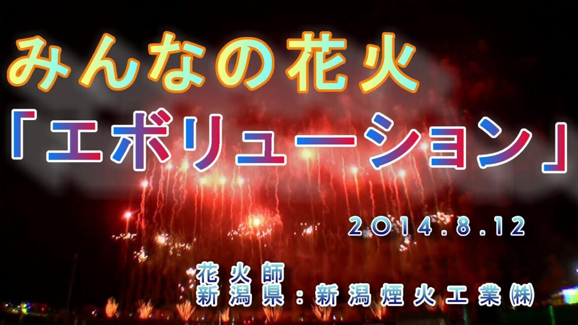 2014.8.11 新潟まつり みんなの花火「エボリューション」