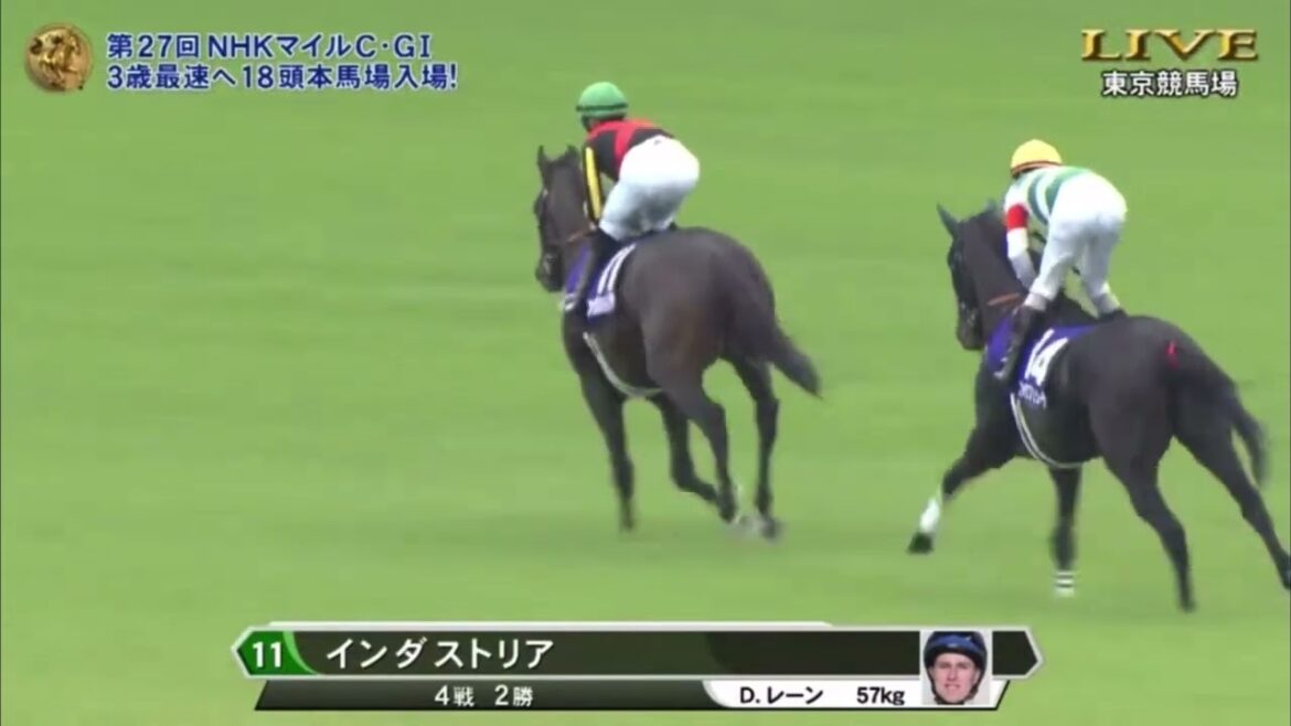 2022    NHKマイルC     本馬場入場
