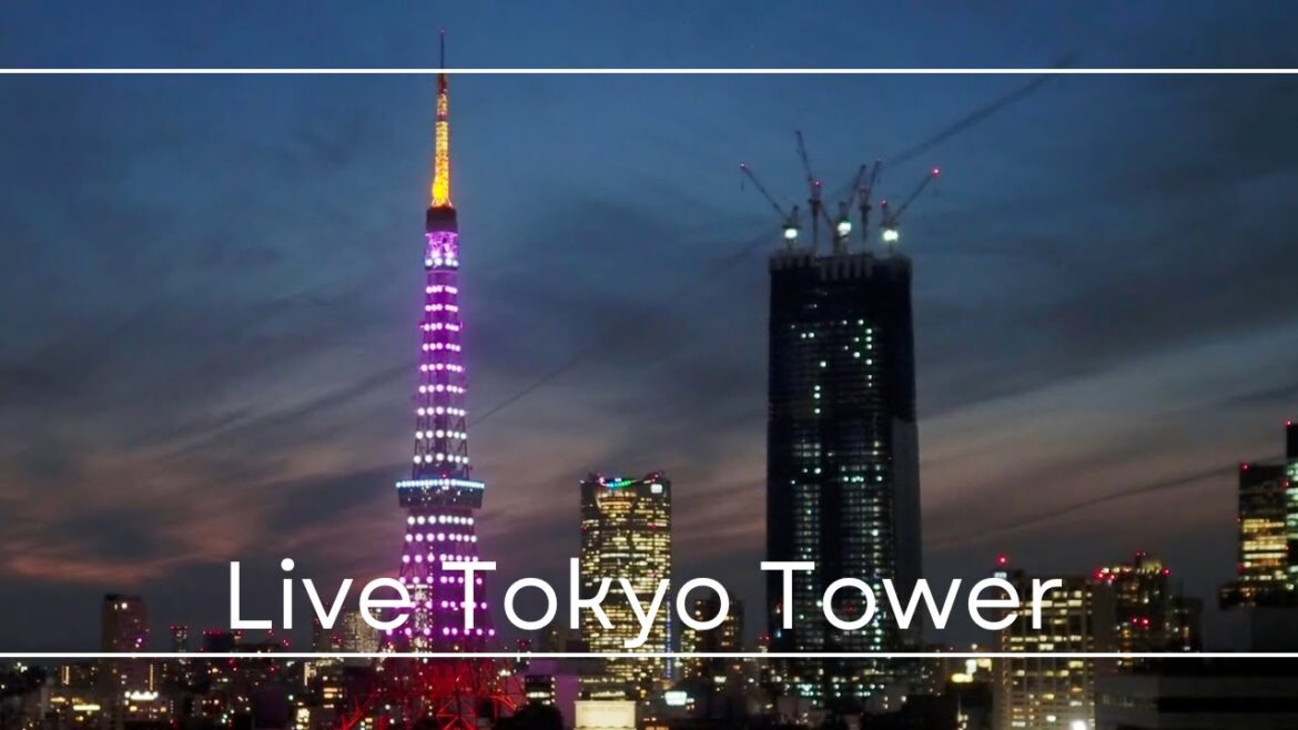 4K LIVE Tokyo Tower and Roppongi Hills and Azabudai Hills/東京タワーと麻布台ヒルズ/2023.1.25 4K LIVE Tokyo Tower and Roppongi Hills and Azabudai Hills/東京タワーと麻布台ヒルズ/2023.1.25