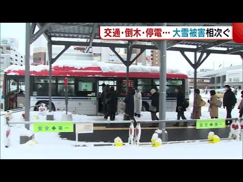 〈大雪被害相次ぐ〉佐渡市の停電3日目に… 交通の乱れや倒木 除雪中の死亡事故も【新潟】 (22/12/20 21:00) 〈大雪被害相次ぐ〉佐渡市の停電3日目に… 交通の乱れや倒木 除雪中の死亡事故も【新潟】 (22/12/20 21:00)