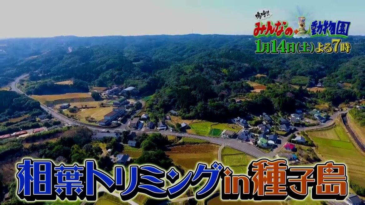 「嗚呼!!みんなの動物園」1月14日土曜よる7時放送！
