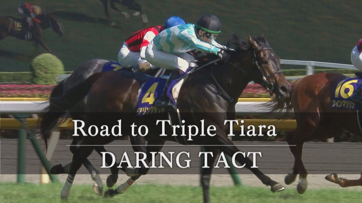 【4戦無敗 全レース直線まとめ】デアリングタクト 牝馬三冠への道 《DARING TACT Road to Triple Tiara》