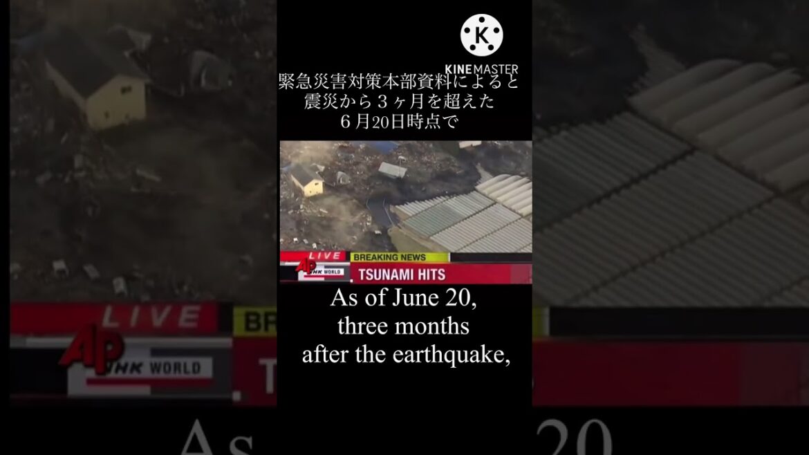 【東日本大震災映】#東日本大震災#津波#ただ声一つ