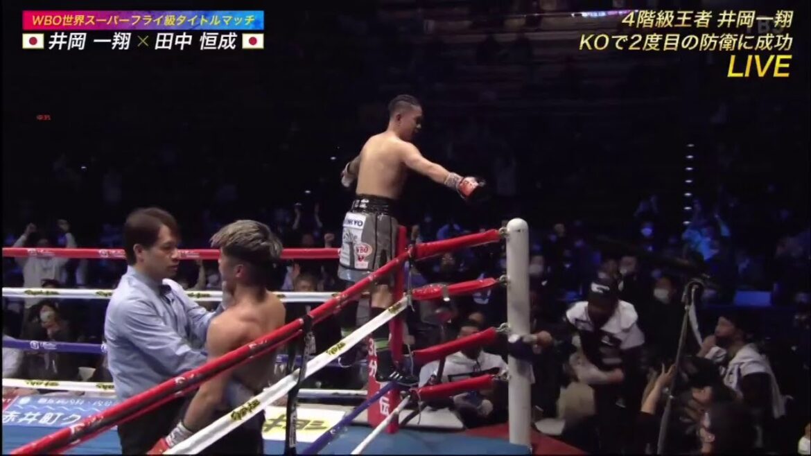 井岡一翔×田中恒成  ＷＢＯ世界スーパーフライ級タイトルマッチ