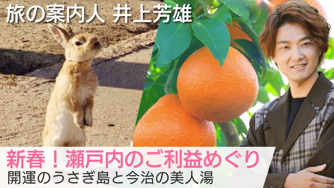 新春！瀬戸内のご利益めぐり、井上芳雄さんがご案内！うさぎの島・大久野島や美人湯・鈍川温泉へ「美しい日本に出会う旅」1/4(水)夜9時