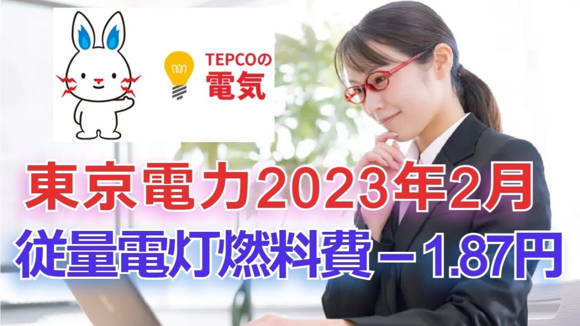 東京電力2023年2月の従量電灯B・燃料費調整単価は-1.87円(電気代激変緩和措置適応中) 東京電力2023年2月の従量電灯B・燃料費調整単価は-1.87円(電気代激変緩和措置適応中)