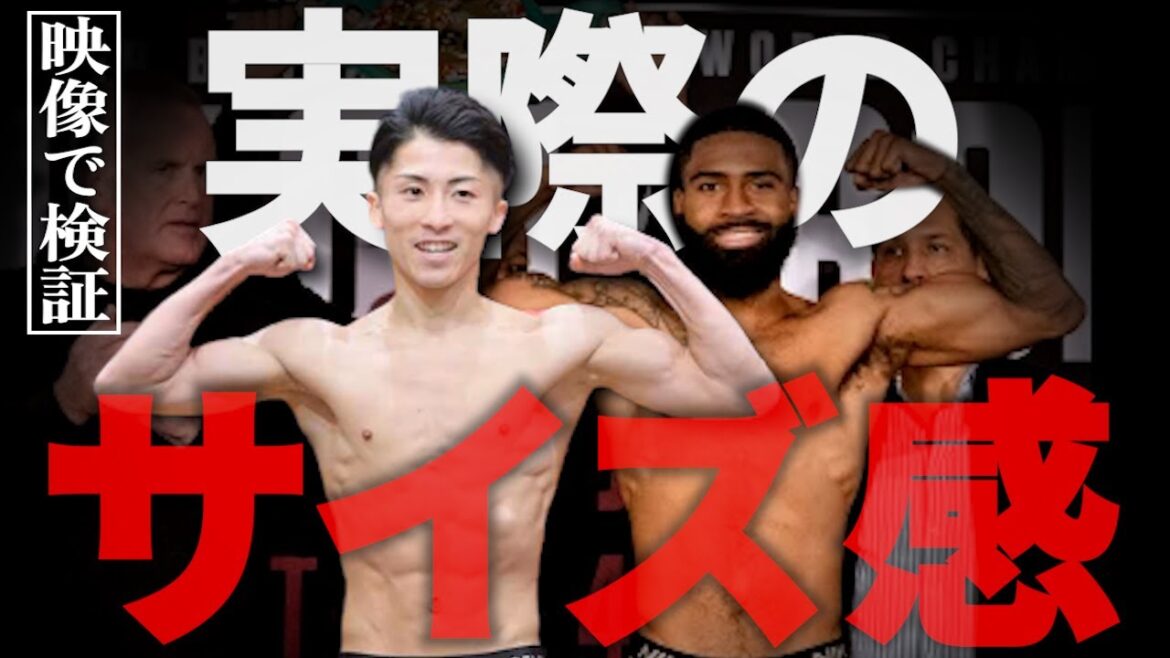 「本当に井上は小さいのか？」井上尚弥とスティーヴン・フルトンの骨格を徹底比較！【格闘控室MaNEWS】Compare Inoue and Fulton's skeletons.