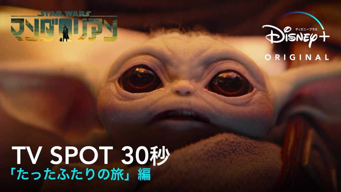 『マンダロリアン』 シーズン3｜TV SPOT 30秒 「たったふたりの旅」編｜Disney+ (ディズニープラス）