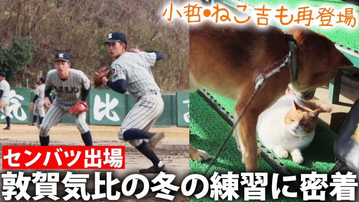 【センバツ出場】名門・敦賀気比の冬に密着　指揮官は「今年も不安の方が大きかった」