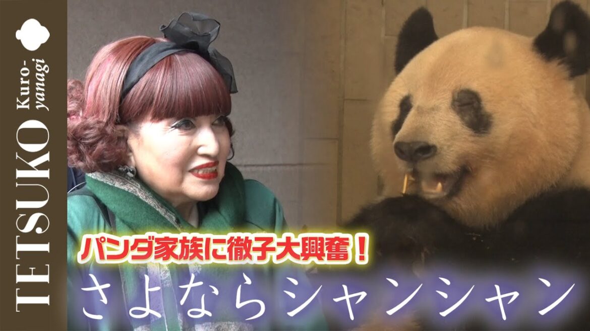 【出張！上野動物園】パンダ家族に徹子大興奮！さよならシャンシャン