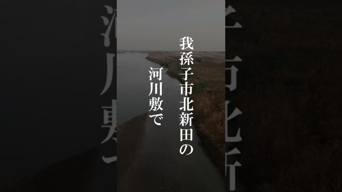 【千葉小3女児殺害事件】小学生が行方不明になった事件。実は犯人は…#shorts