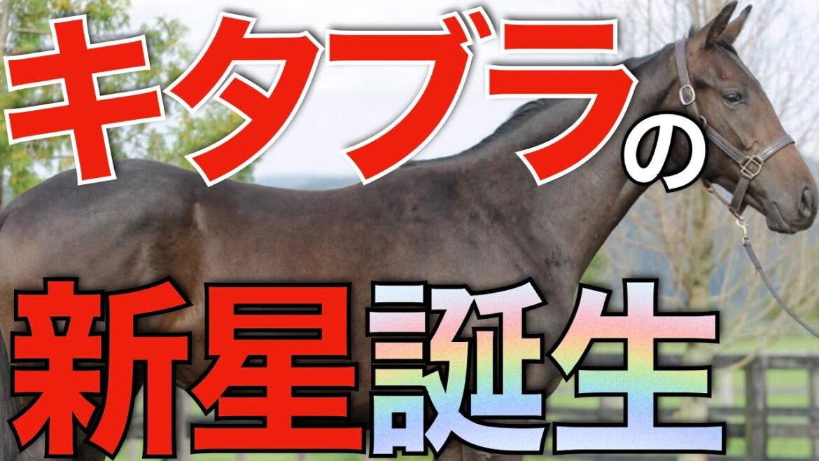【噂通り】次のイクイノックスはこの馬か！スキルヴィングが圧勝でクラシック参戦へ。