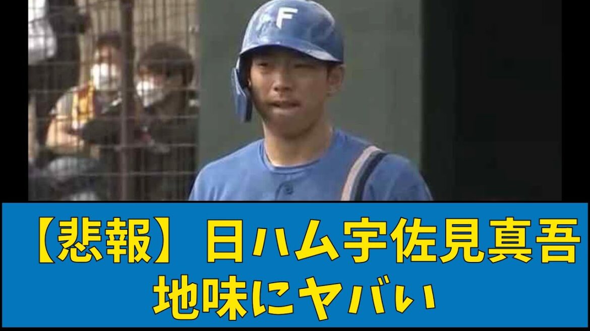 【悲報】日ハム宇佐見真吾 地味にヤバい【なんJ反応】【プロ野球反応集】【2chスレ】【1分動画】【5chスレ】