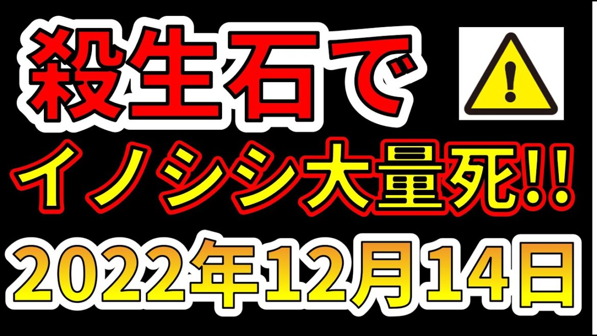 【要注意！】殺生石でイノシシが大量死！巨大噴火の前兆か！？わかりやすく解説します！