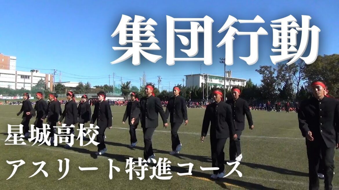 アスリート特進コースによる演舞【星城高校体育祭2022】 アスリート特進コースによる演舞【星城高校体育祭2022】